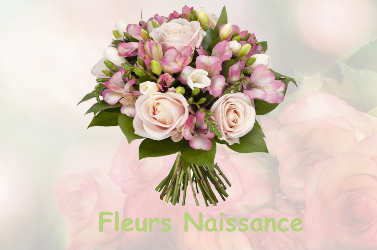 fleurs naissance BAZOCHES-SUR-LE-BETZ