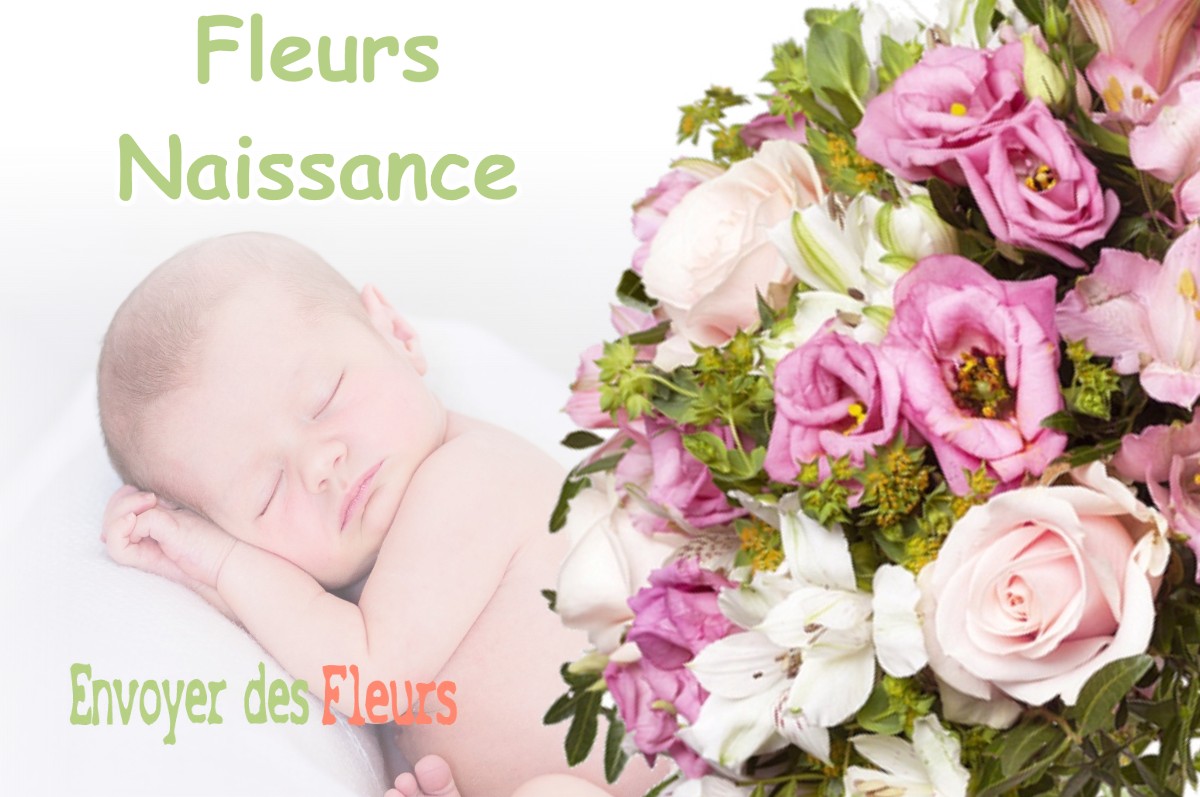 lIVRAISON FLEURS NAISSANCE à BAZOCHES-SUR-LE-BETZ